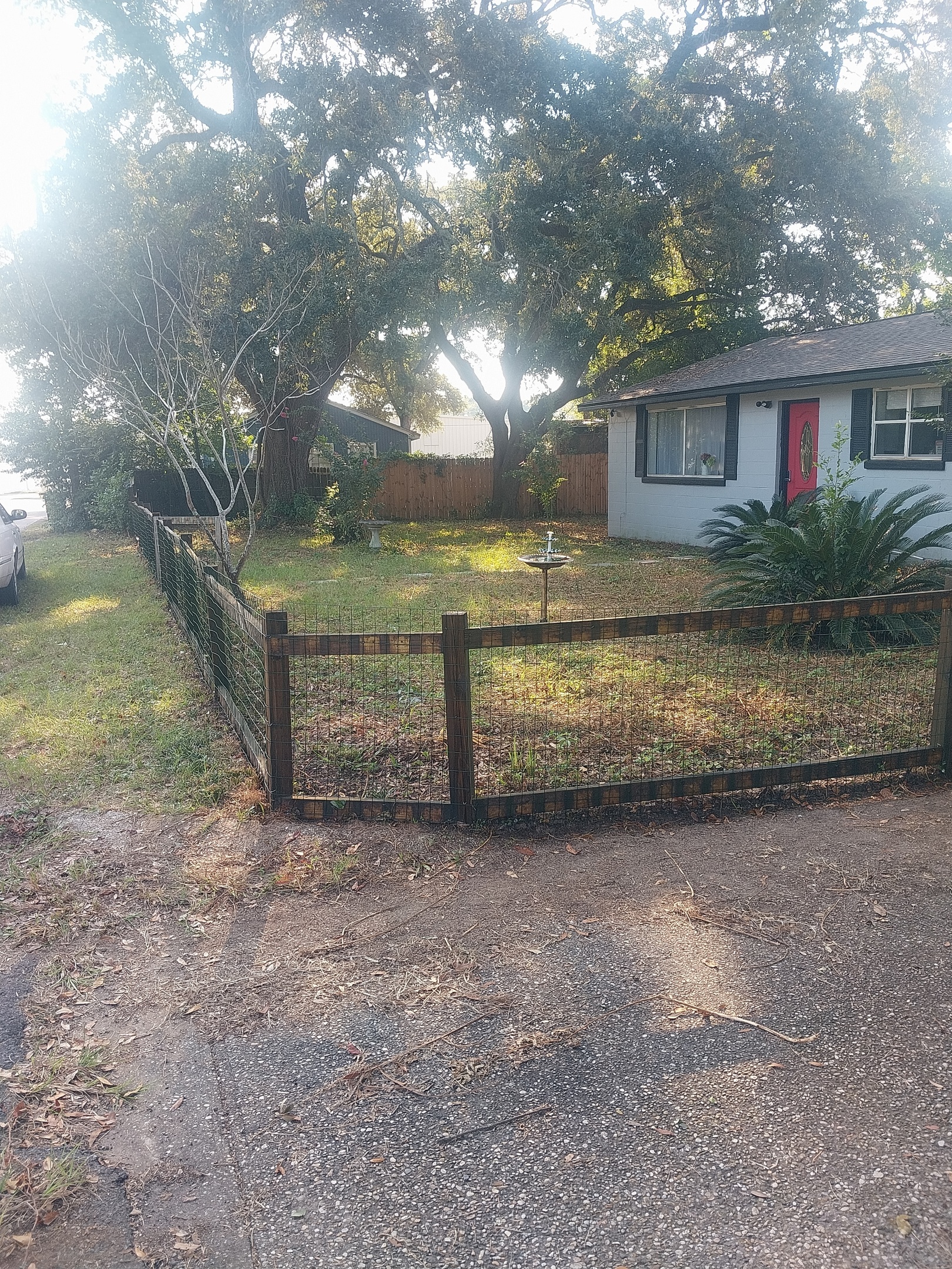 Post Oak B